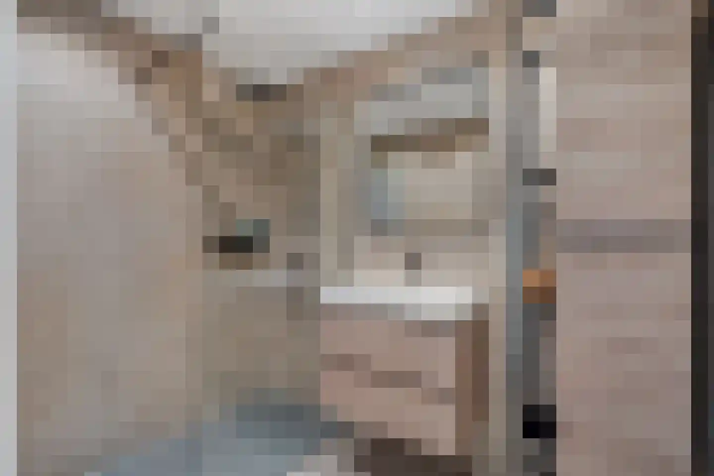 Zaaier 152 Leusden thumbnail 17