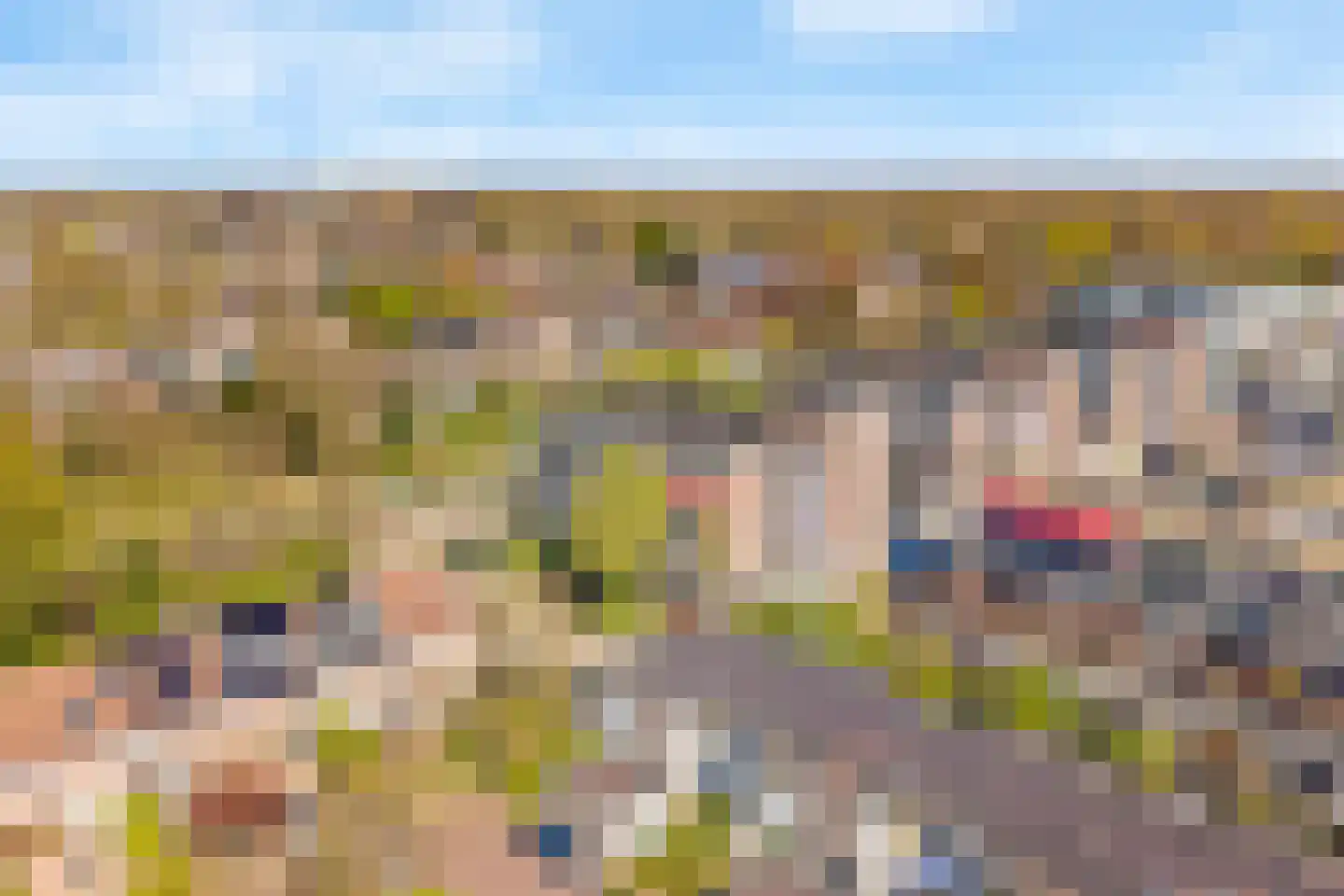 Zaaier 152 Leusden thumbnail 23