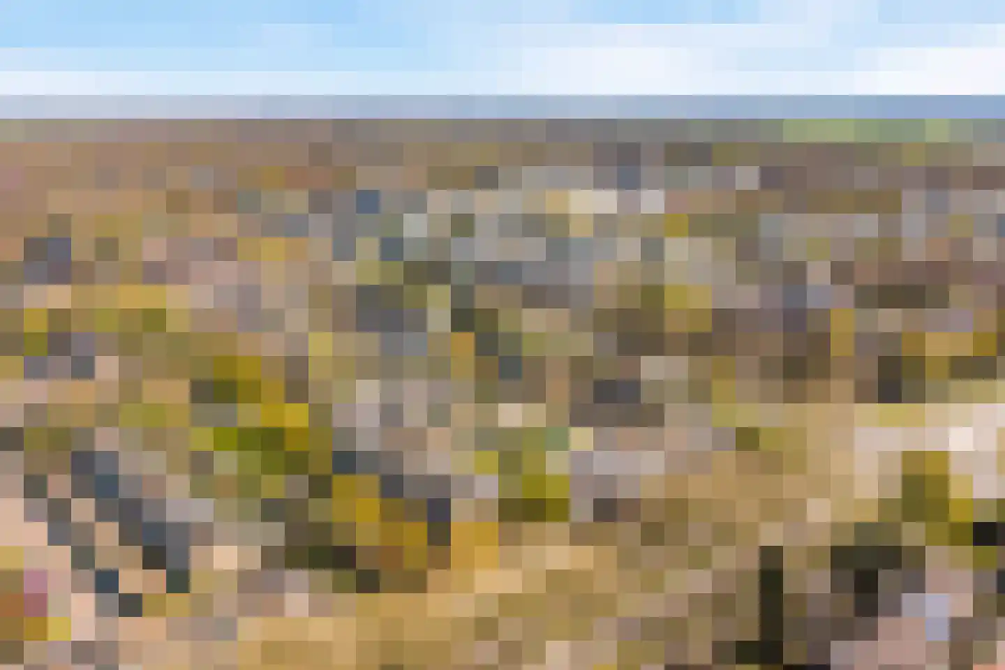 Zaaier 152 Leusden thumbnail 24