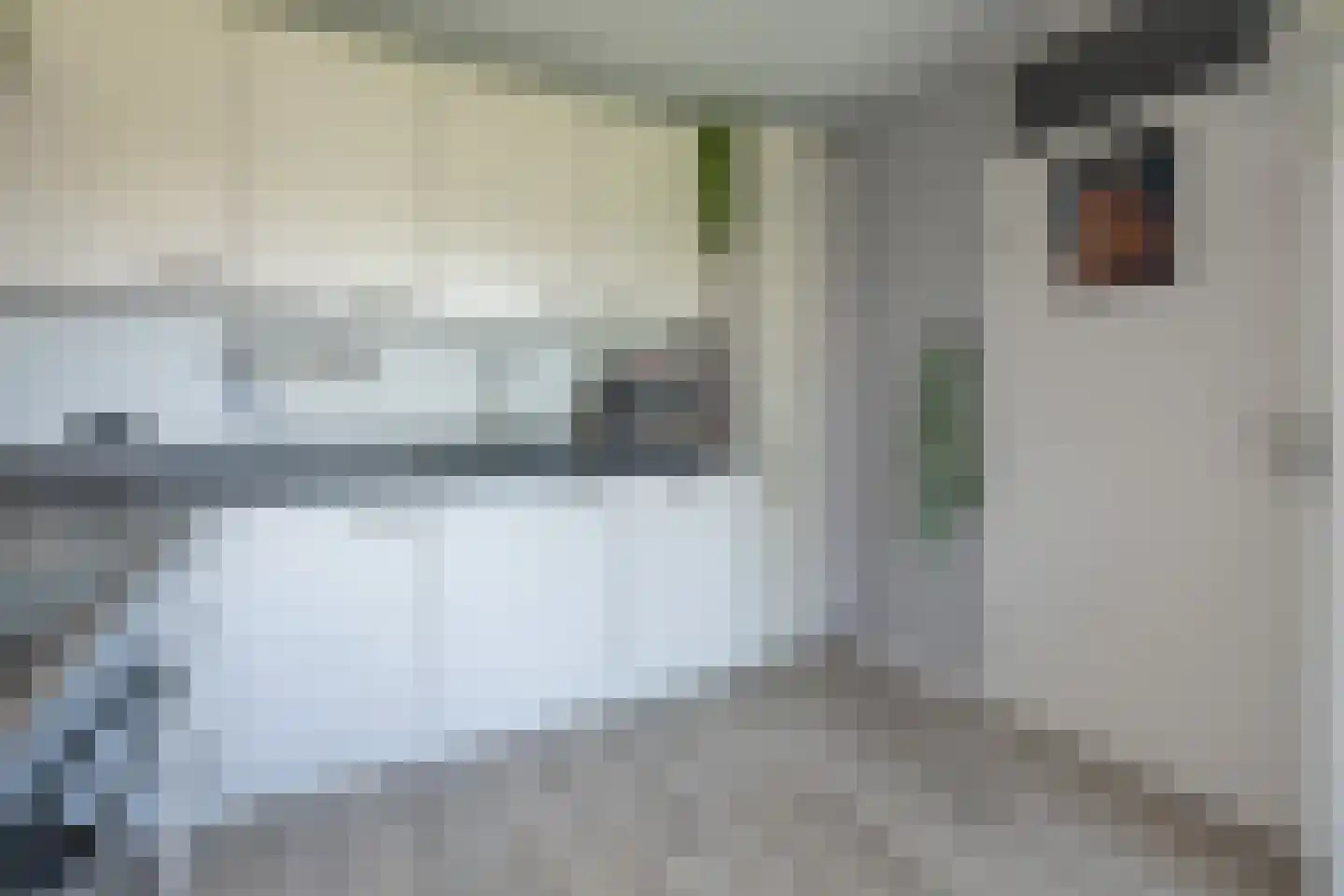 Zaaier 164 Leusden thumbnail 10