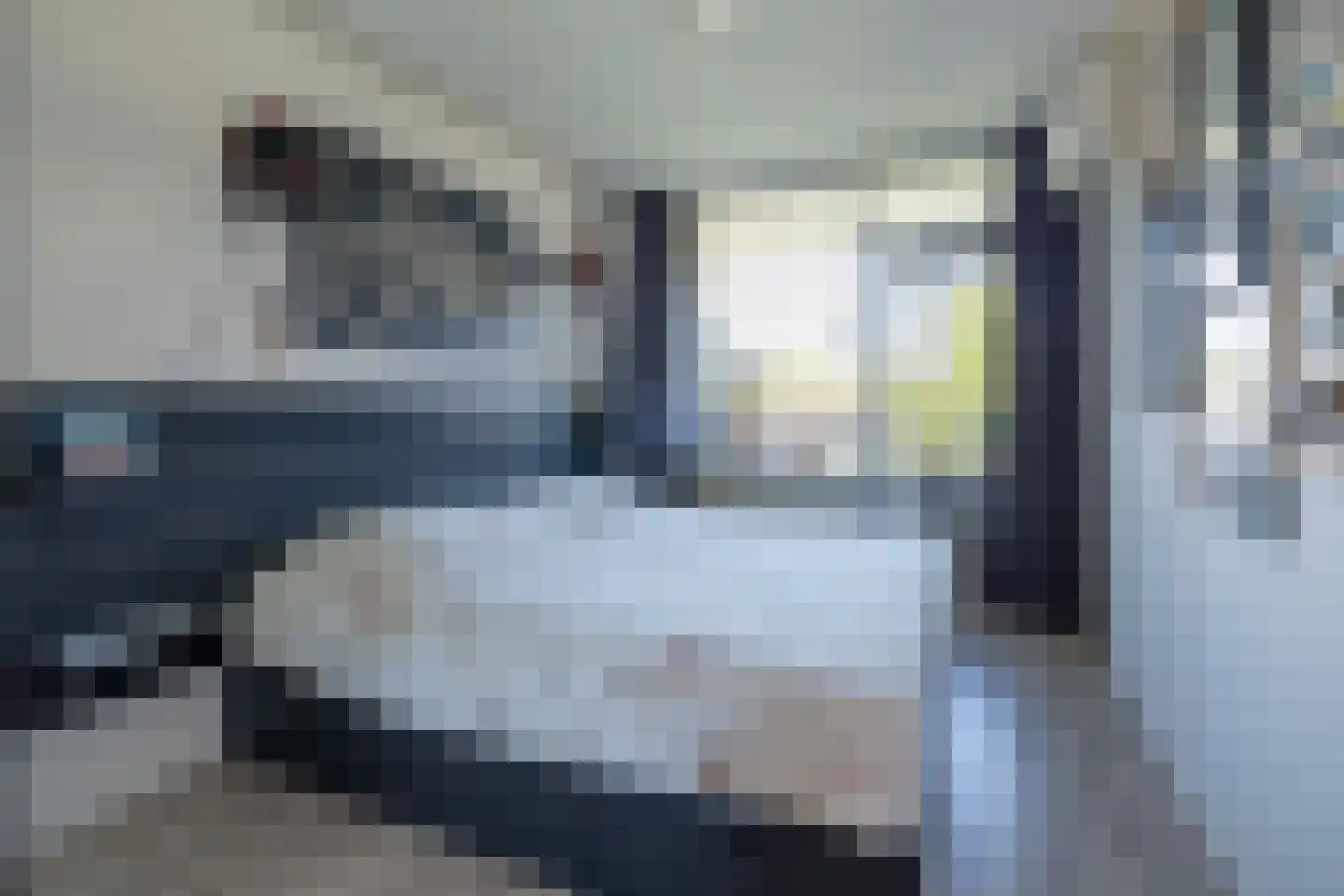 Zaaier 164 Leusden thumbnail 13