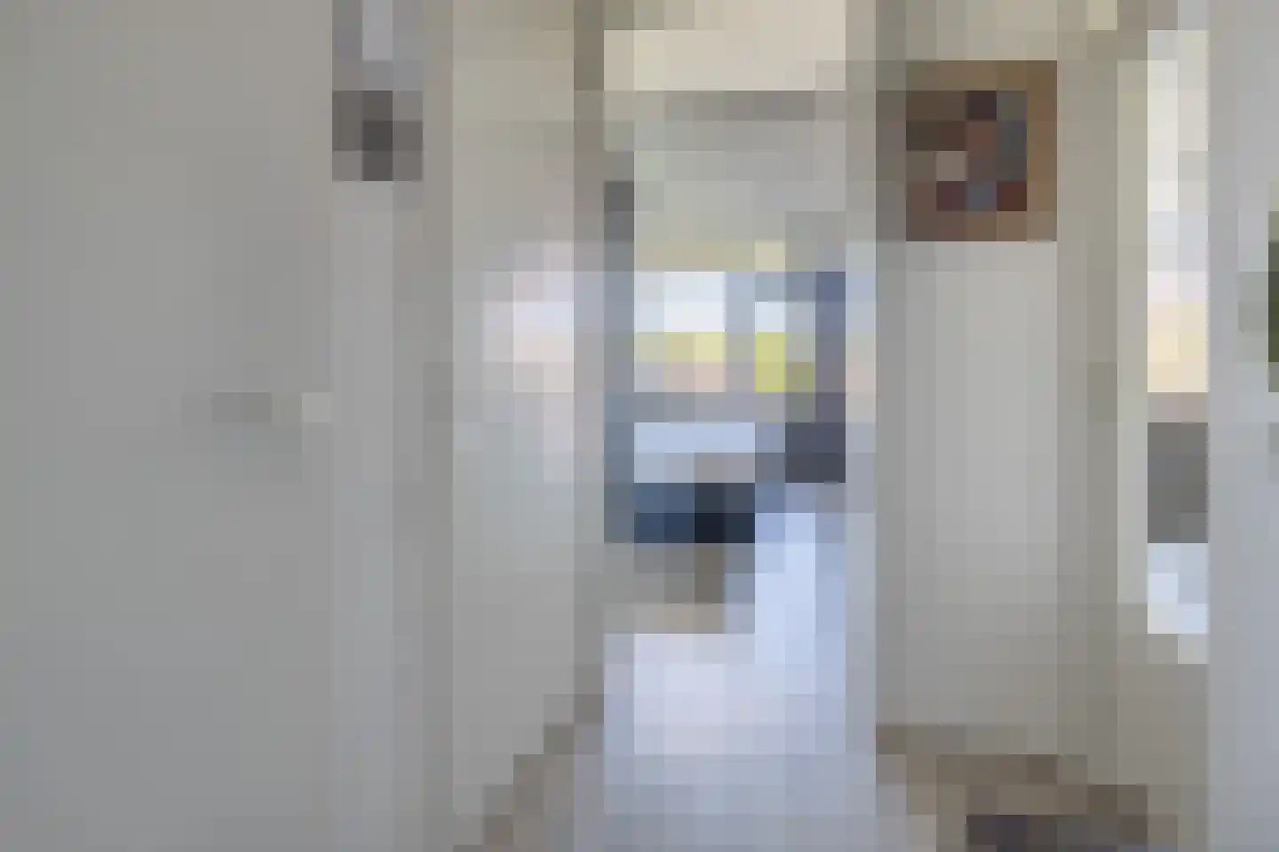 Zaaier 164 Leusden thumbnail 18