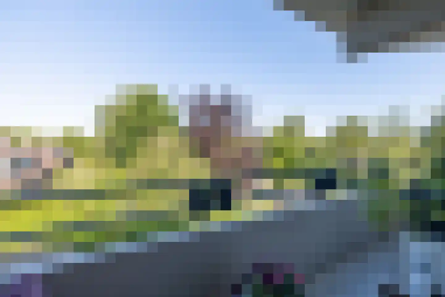 Zaaier 164 Leusden thumbnail 21
