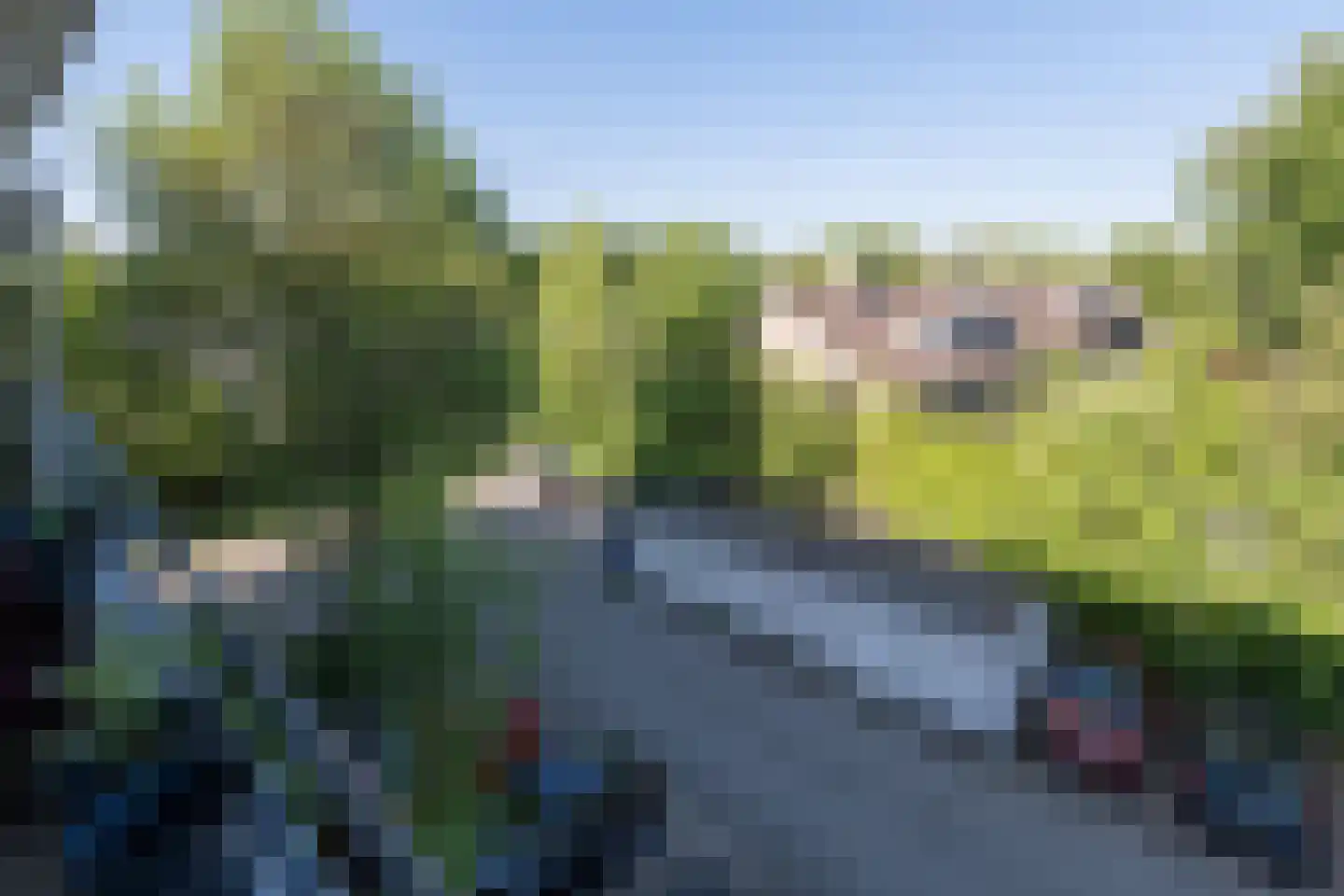 Zaaier 164 Leusden thumbnail 24