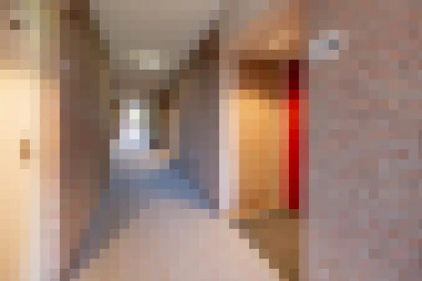 Zaaier 164 Leusden thumbnail 26