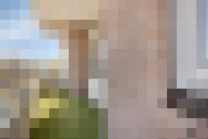 Zaaier 38 Leusden thumbnail 14
