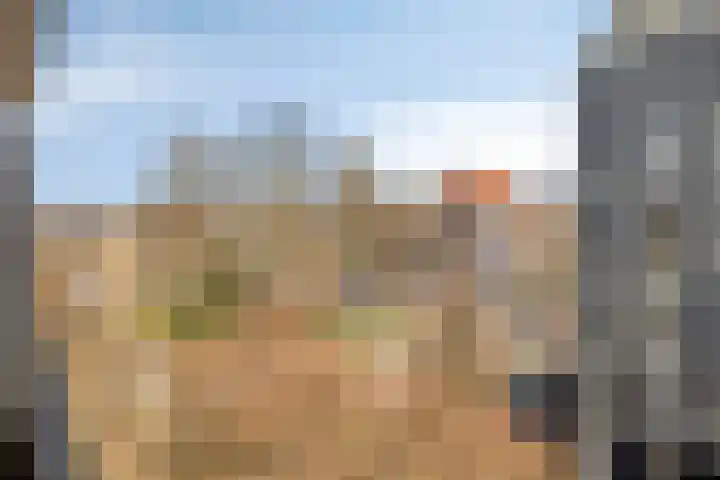 Zaaier 38 Leusden thumbnail 15