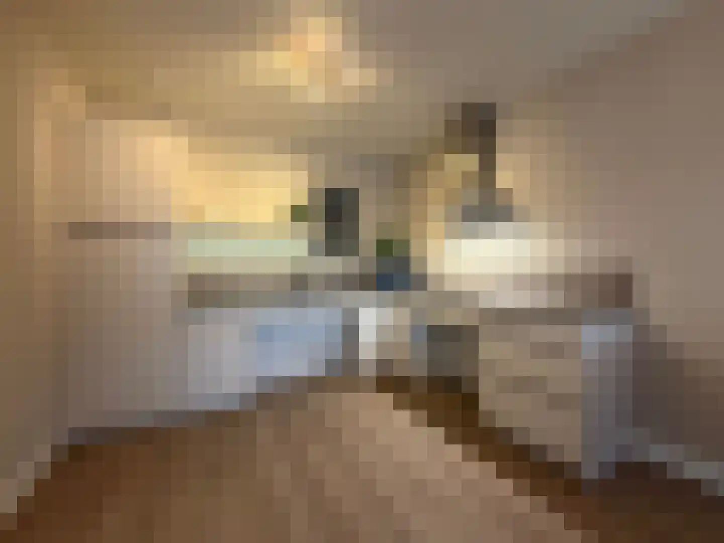 Zaaier 4 Leusden thumbnail 7