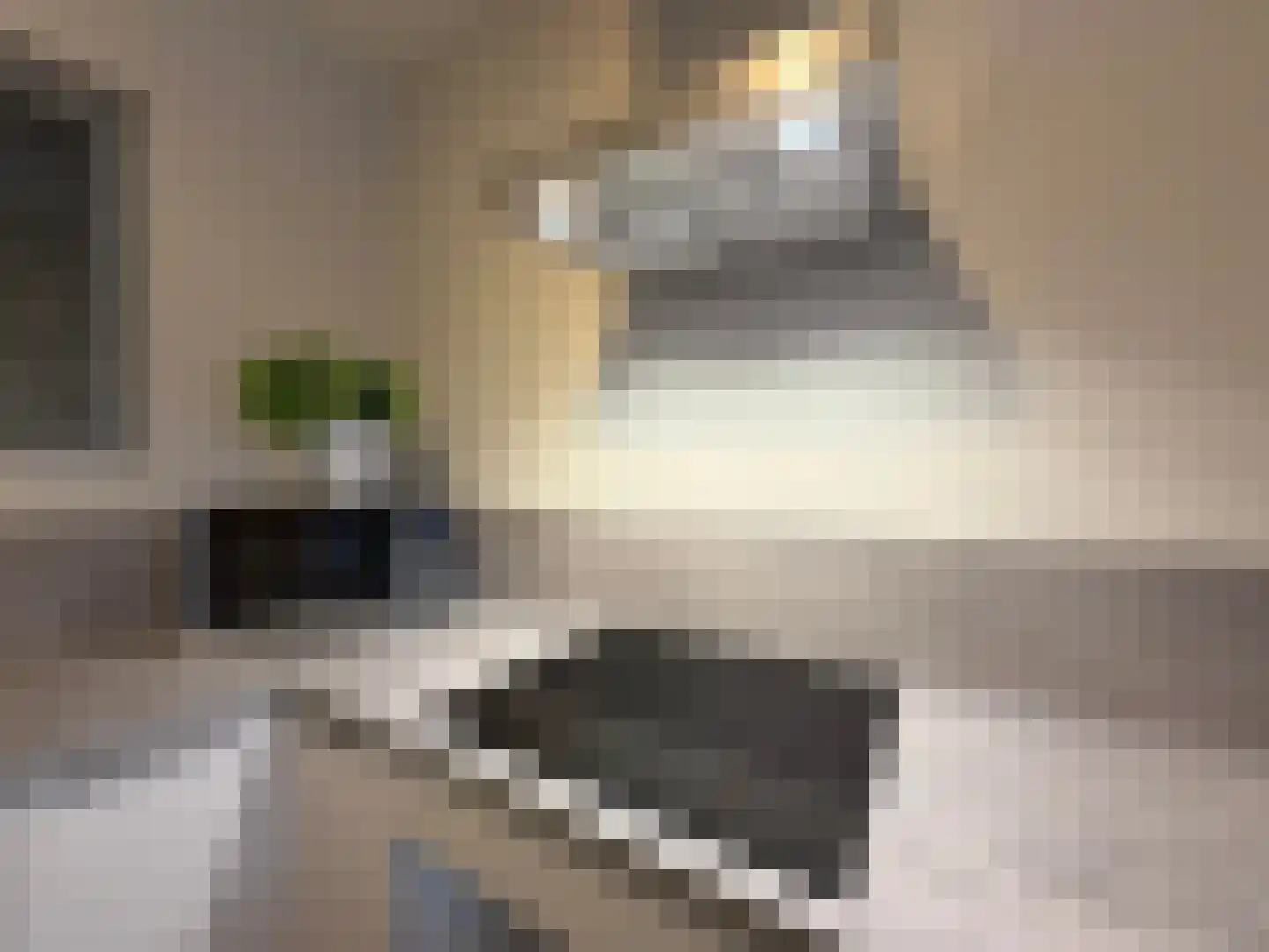 Zaaier 4 Leusden thumbnail 8
