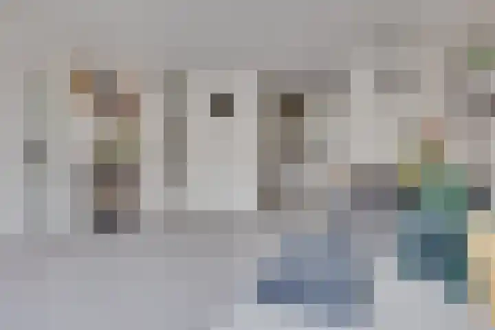 Zaaier 46 Leusden thumbnail 10