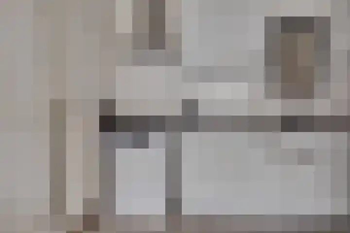 Zaaier 46 Leusden thumbnail 11