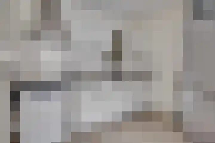 Zaaier 46 Leusden thumbnail 12