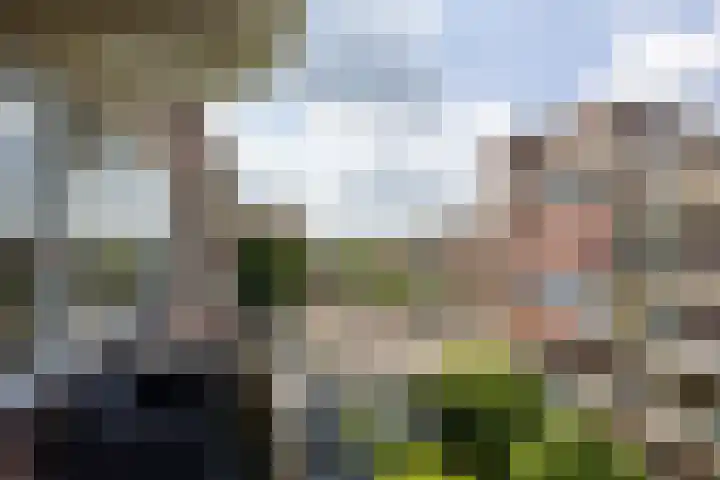 Zaaier 46 Leusden thumbnail 14