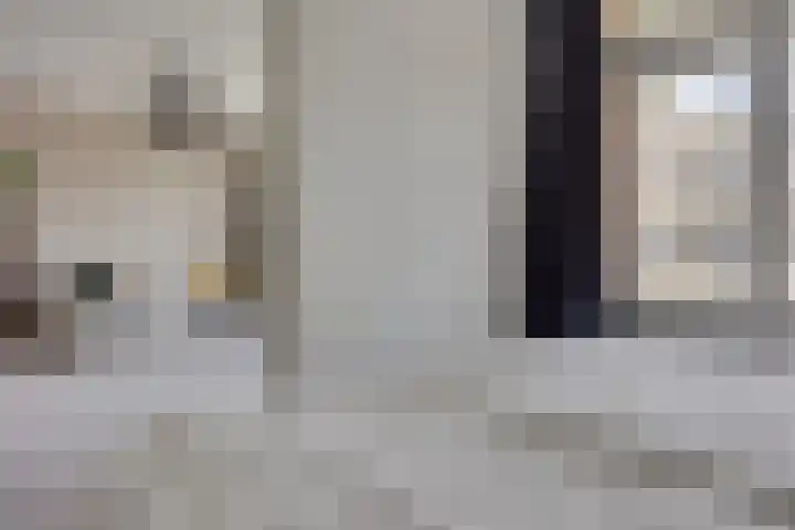 Zaaier 46 Leusden thumbnail 17