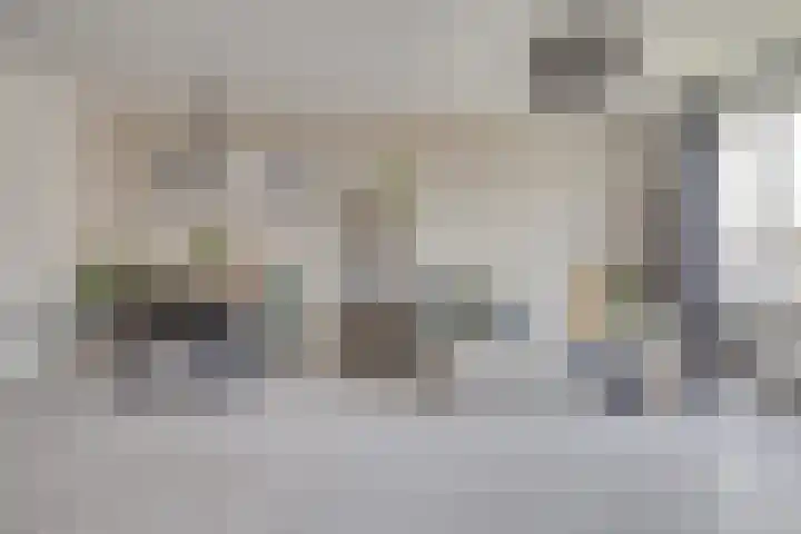 Zaaier 46 Leusden thumbnail 18