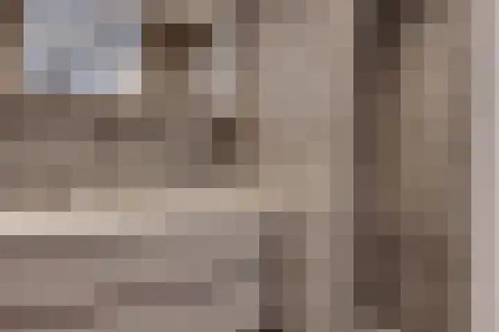 Zaaier 46 Leusden thumbnail 19