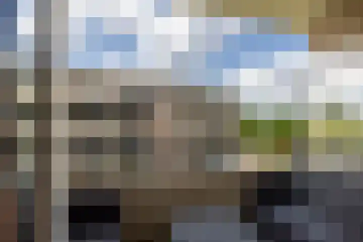 Zaaier 46 Leusden thumbnail 21