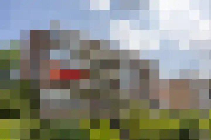 Zaaier 46 Leusden thumbnail 22