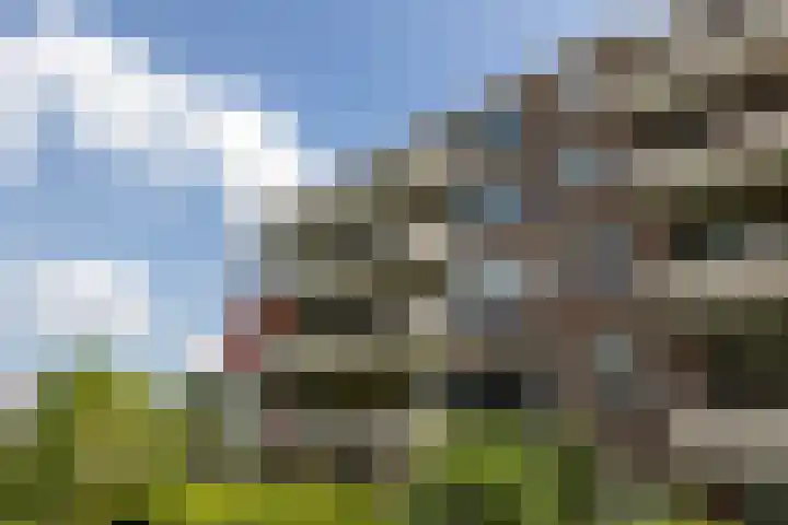 Zaaier 46 Leusden thumbnail 23
