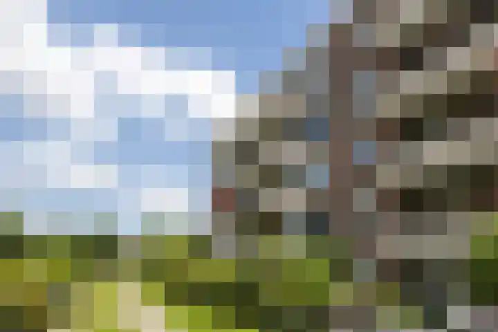 Zaaier 46 Leusden thumbnail 24