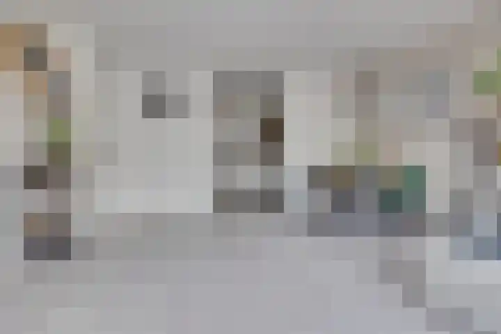 Zaaier 46 Leusden thumbnail 9
