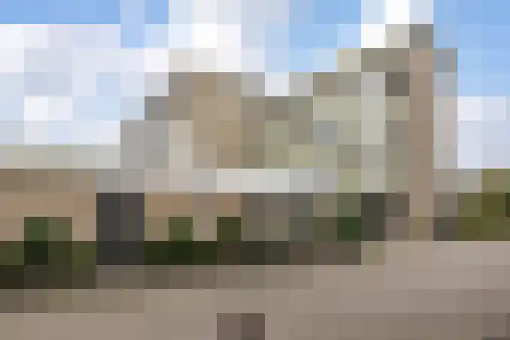 Zaaier 5 Leusden