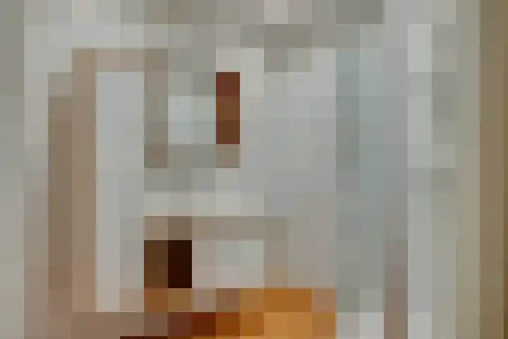 Zaaier 5 Leusden thumbnail 15