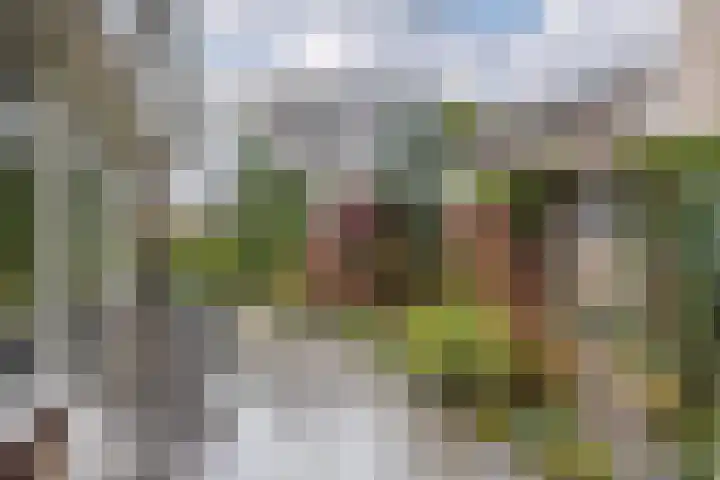 Zaaier 5 Leusden thumbnail 17