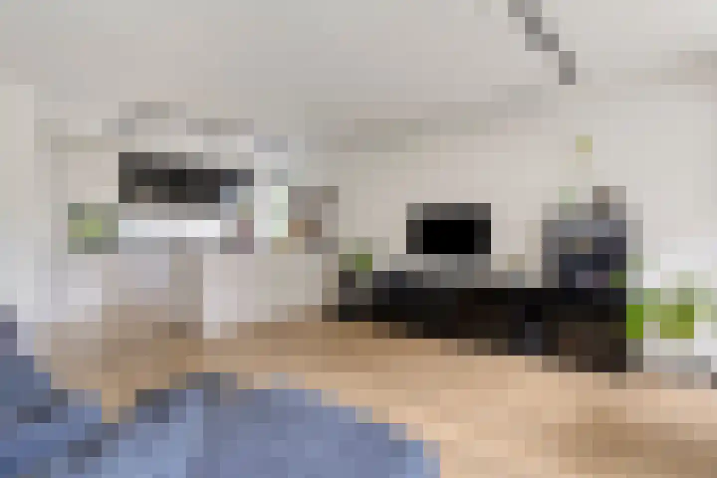 Zaaier 78 Leusden thumbnail 15