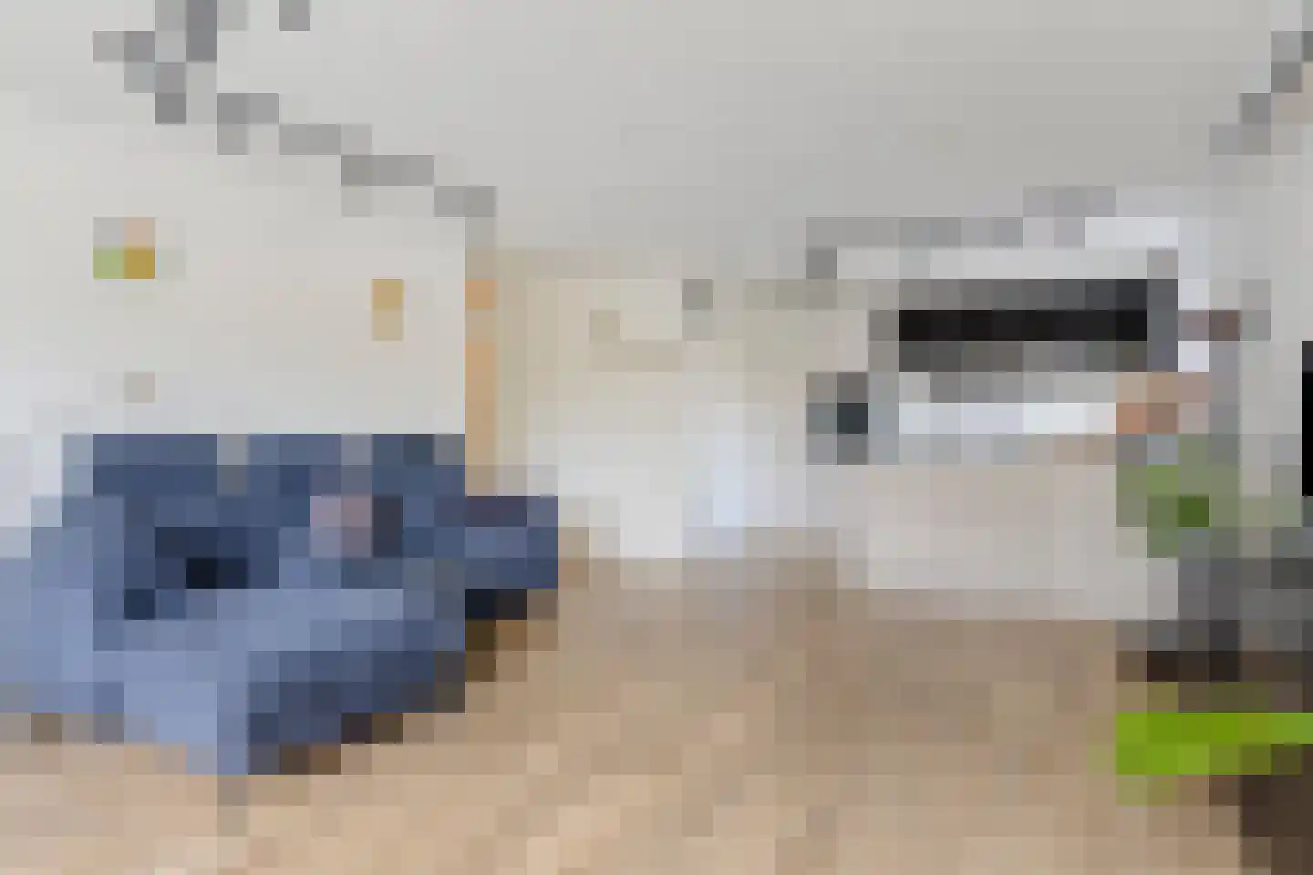 Zaaier 78 Leusden thumbnail 17