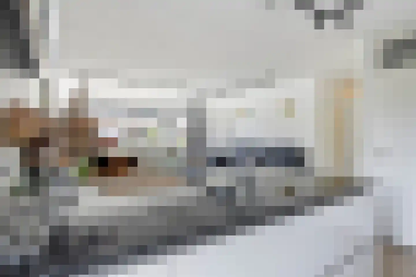 Zaaier 78 Leusden thumbnail 23