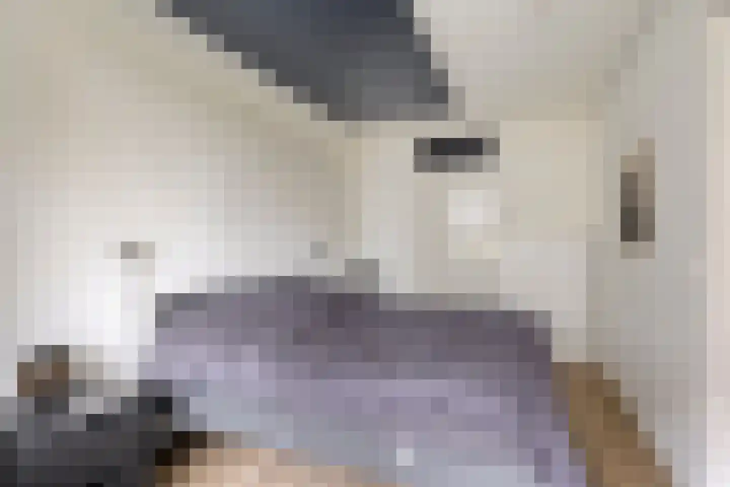 Zaaier 78 Leusden thumbnail 25
