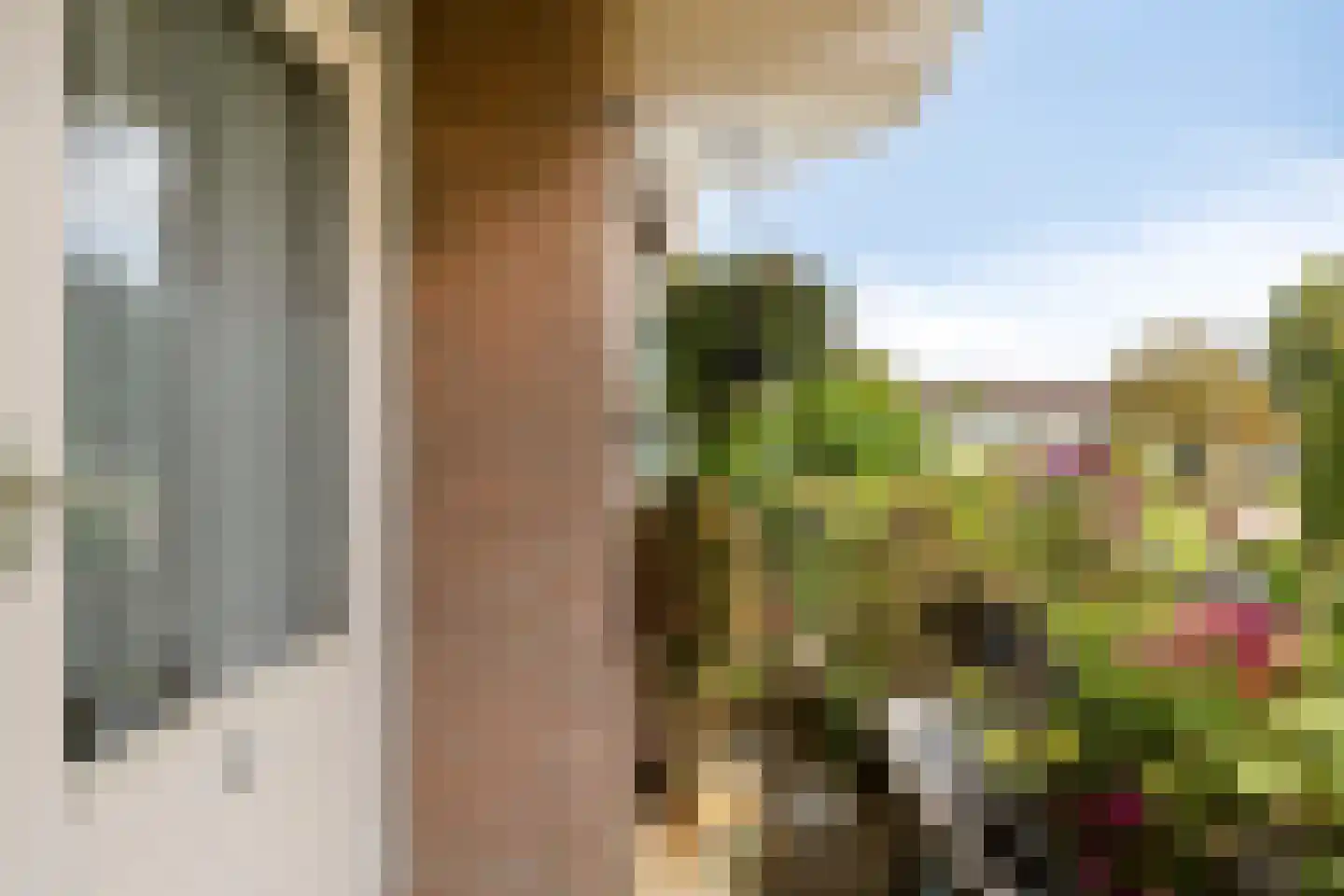 Zaaier 78 Leusden thumbnail 27