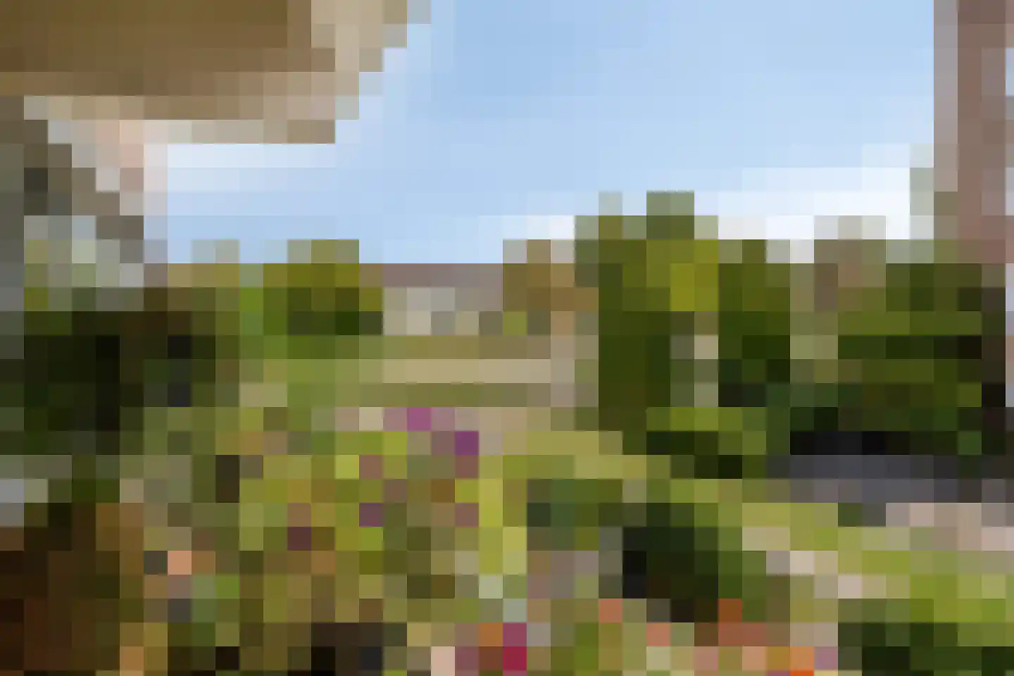 Zaaier 78 Leusden thumbnail 28