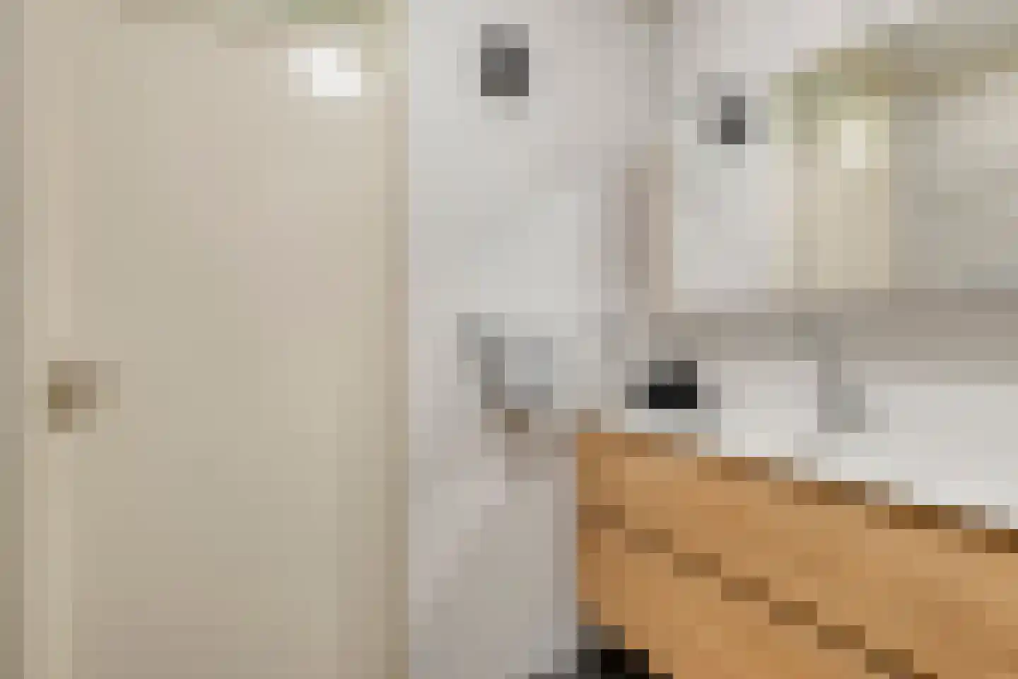 Zaaier 78 Leusden thumbnail 30