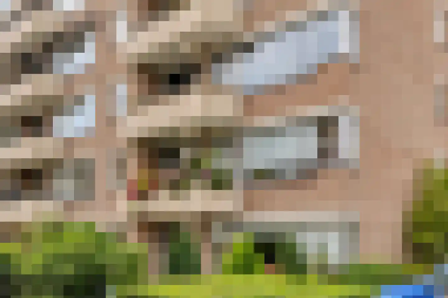 Zaaier 78 Leusden thumbnail 37