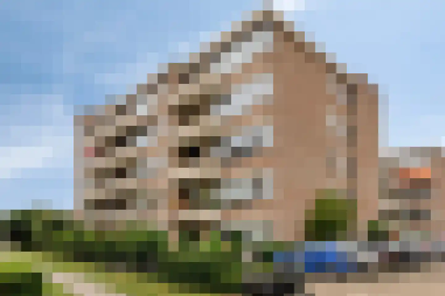 Zaaier 78 Leusden thumbnail 5