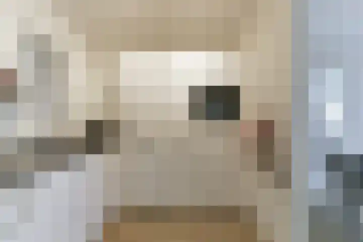 Zaaier 82 Leusden thumbnail 17