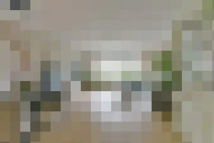 Zaaier 82 Leusden foto 2