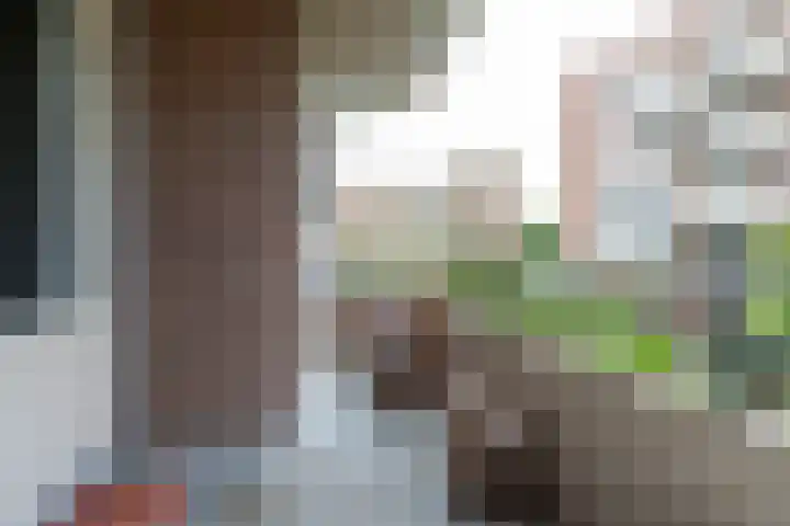 Zaaier 82 Leusden thumbnail 21