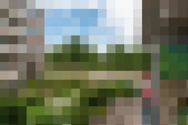 Zaaier 82 Leusden thumbnail 23