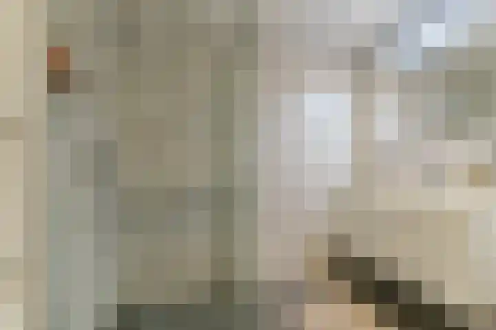 Zaaier 82 Leusden thumbnail 26