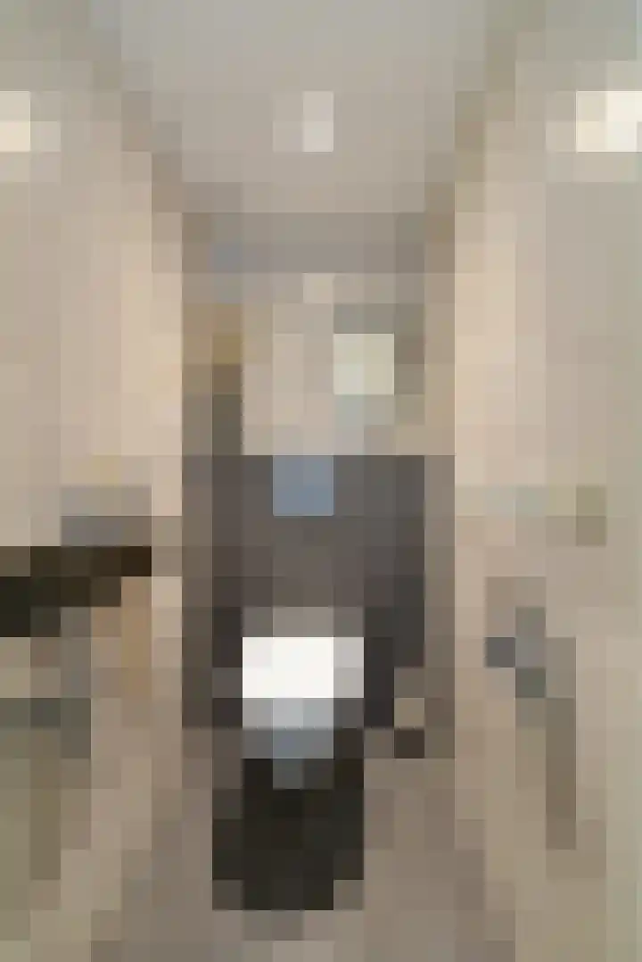 Zaaier 82 Leusden thumbnail 29