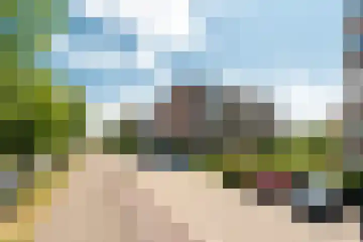 Zaaier 82 Leusden thumbnail 30