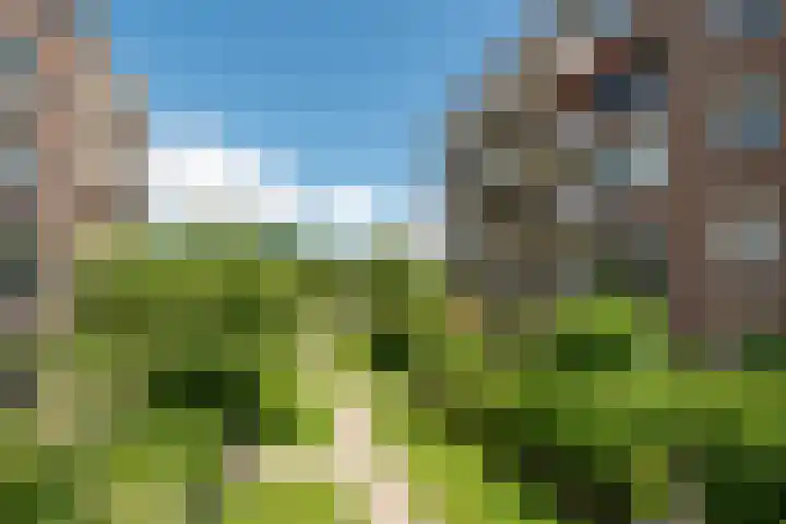 Zaaier 82 Leusden thumbnail 31