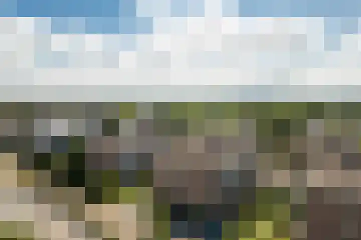 Zaaier 82 Leusden thumbnail 32