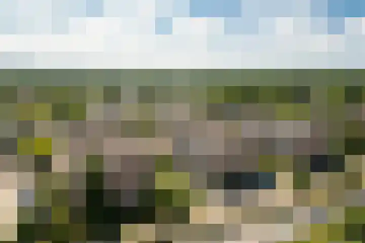Zaaier 82 Leusden thumbnail 33