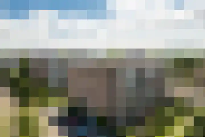 Zaaier 82 Leusden thumbnail 34