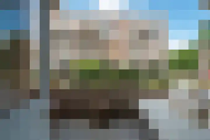 Zaaier 82 Leusden thumbnail 4