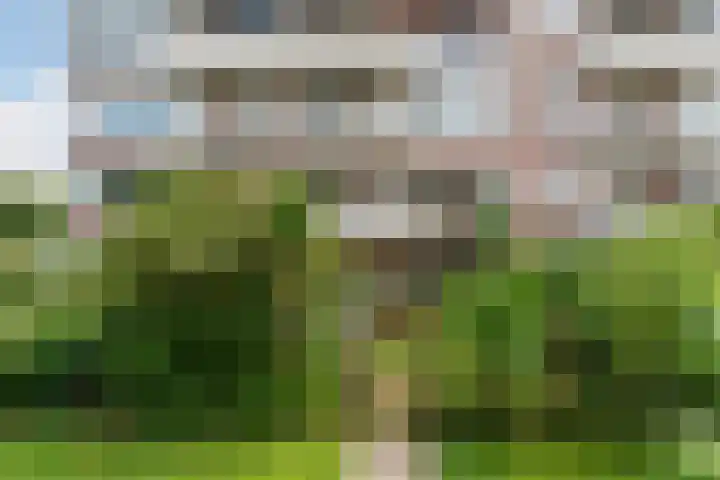 Zaaier 82 Leusden thumbnail 40